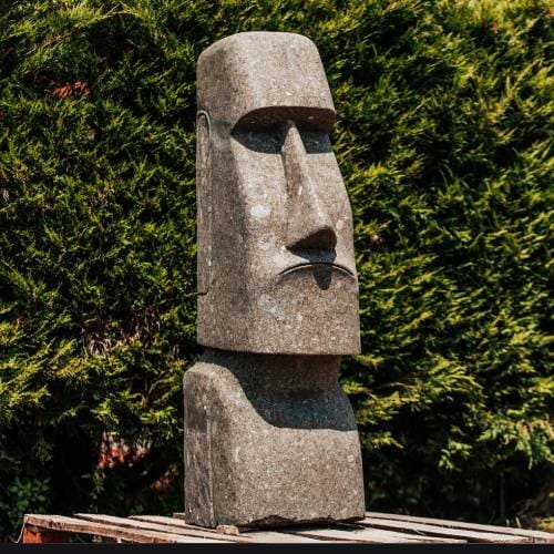 Original input image